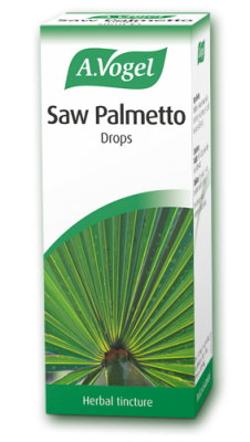 Vogel Saw Palmetto