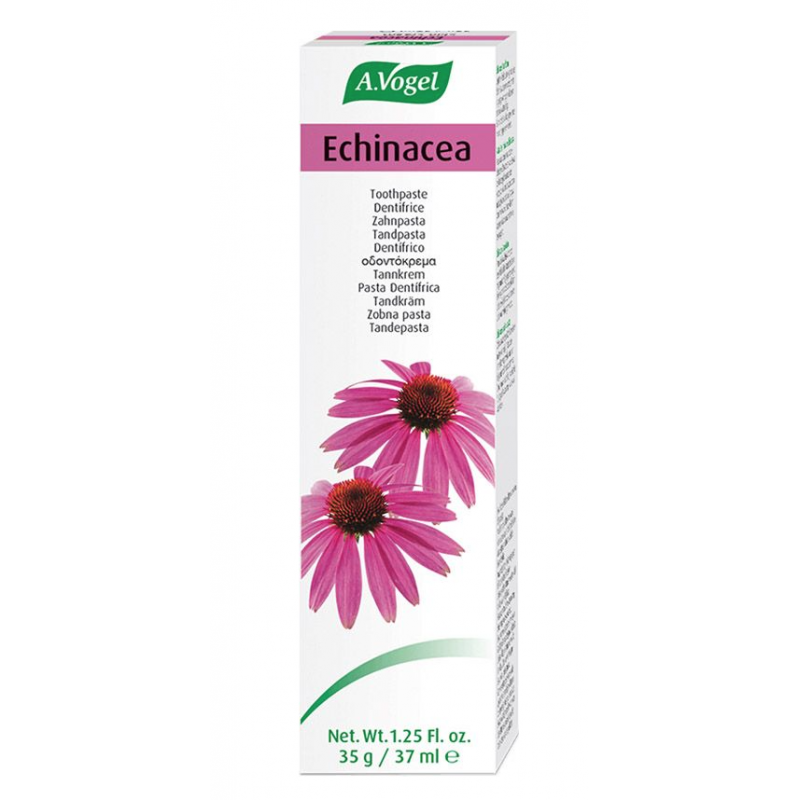 A Vogel Echinacea Toothpaste 100g