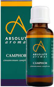 Absolute Aromas Camphor Oil 10ml