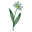 Here's Health logo