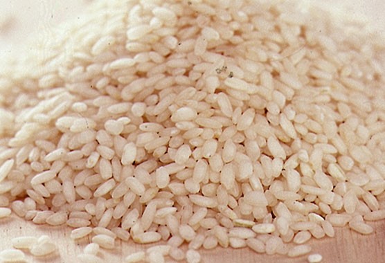 Organic Arborio Rice 500g - Here's Health