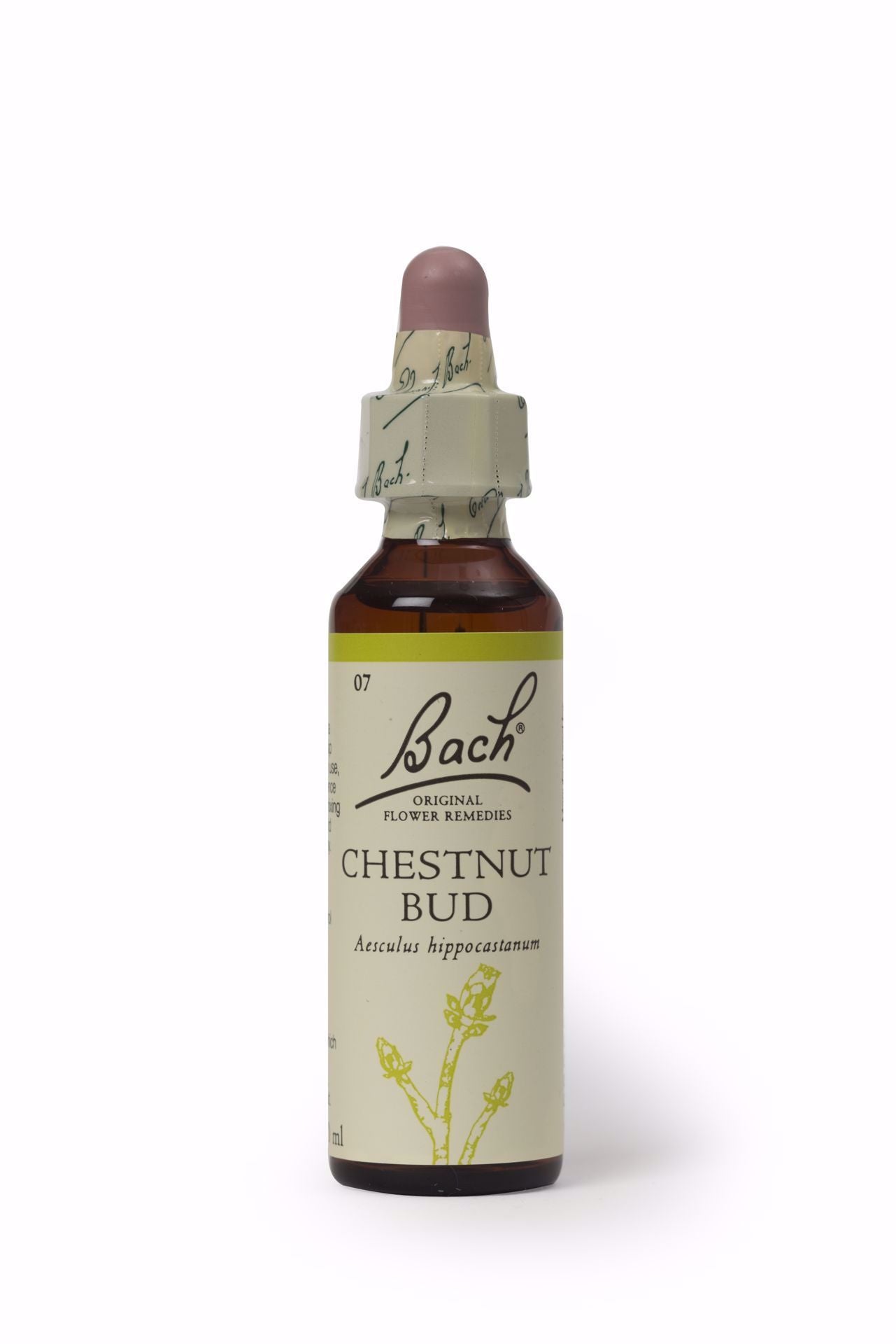 Bach Chestnut Bud 20ml