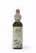 Bach Holly 20ml