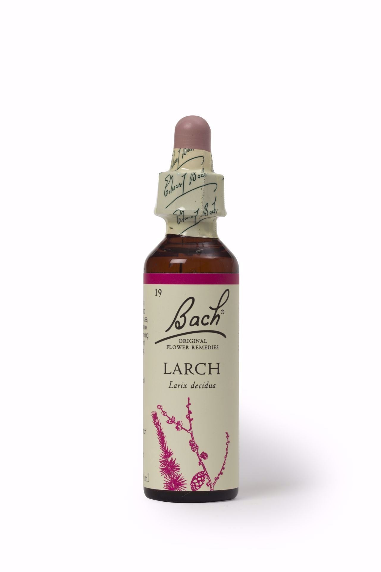 Bach Larch 20ml