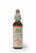 Bach Rock Rose 20ml
