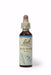 Bach Rock Water 20ml