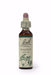Bach Walnut 20ml