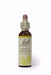 Bach White Chestnut 20ml