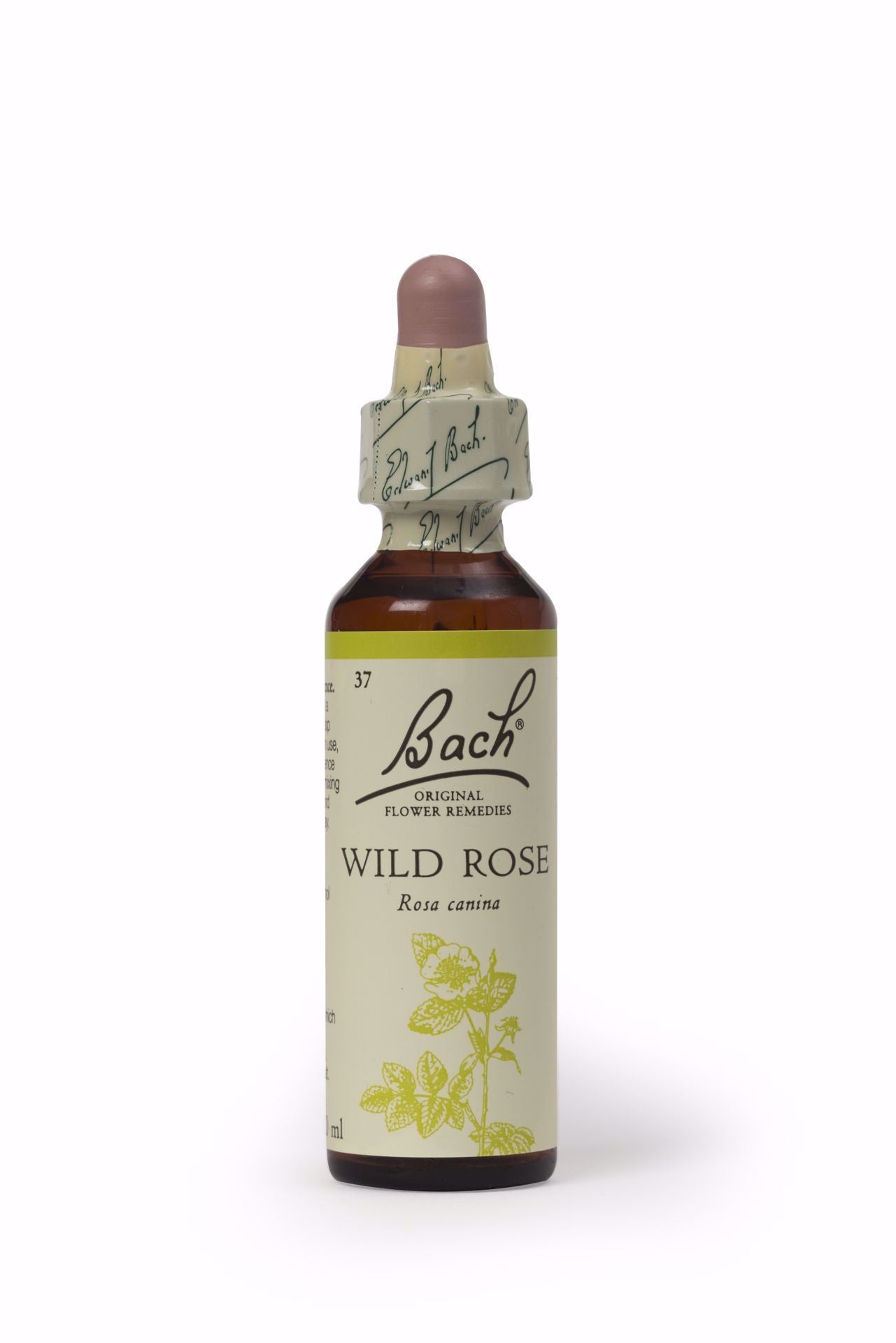 Bach Wild rose 20ml