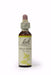 Bach Wild rose 20ml