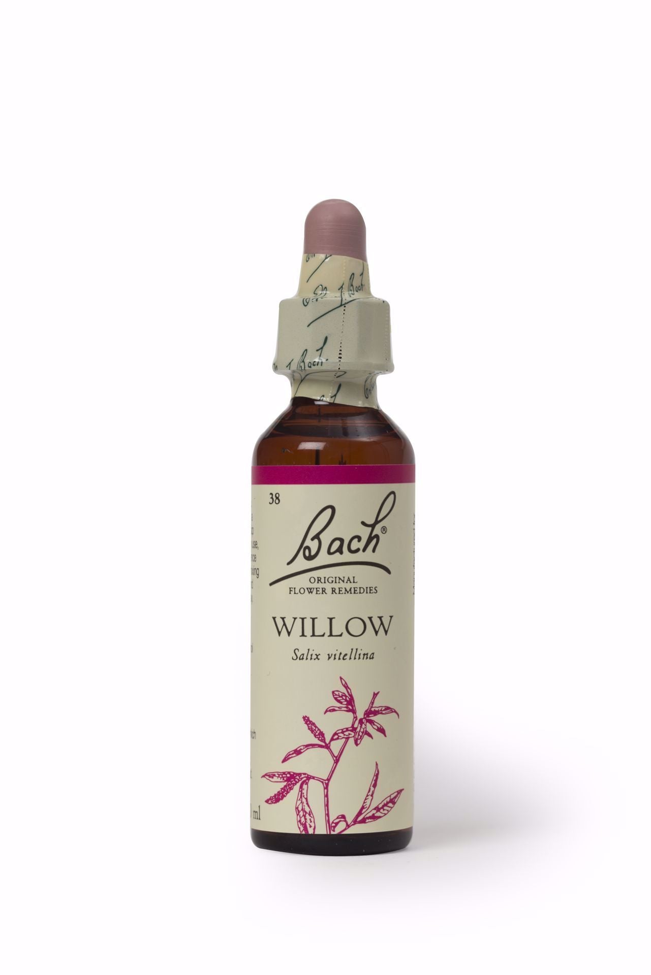 Bach Willow 20ml