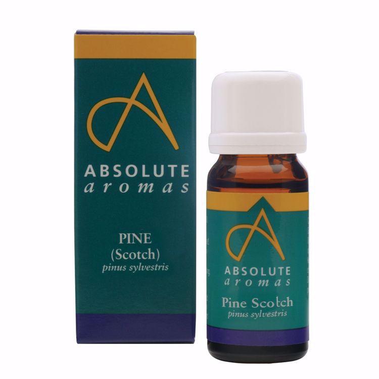 Absolute Aromas Pine (Scotch) 10ml