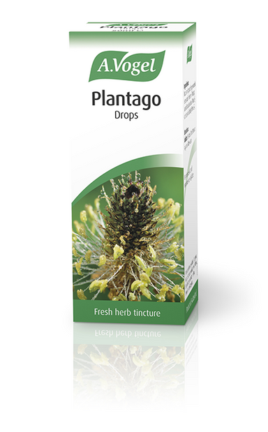 Vogel Plantago 50ml