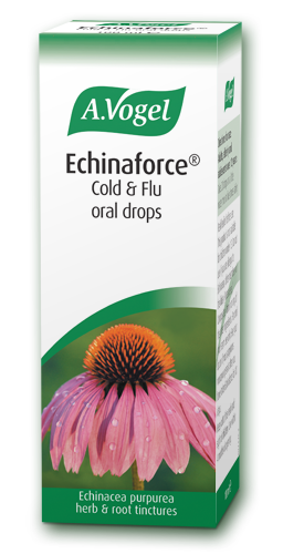 A. Vogel Echinaforce Echinacea 15ml