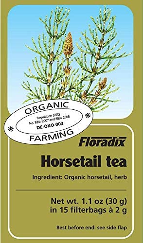 Salus Horsetail Tea 15 Bags