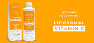 Somega Lipsomal Vitamin C 450ml